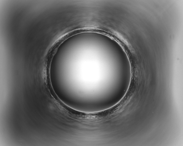 X0000096721456200802051432