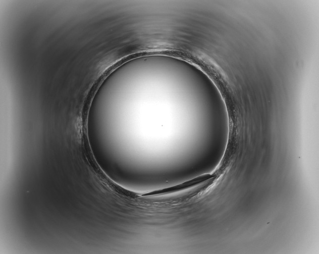 X0000096721457200802051432