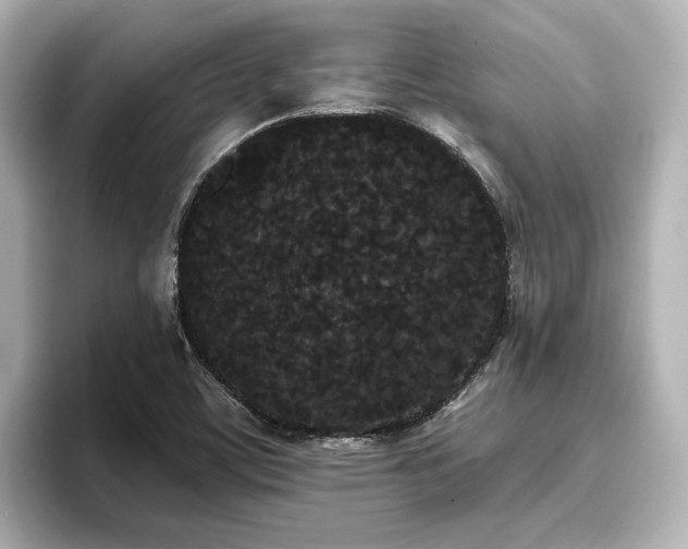 X0000096721459200802051432