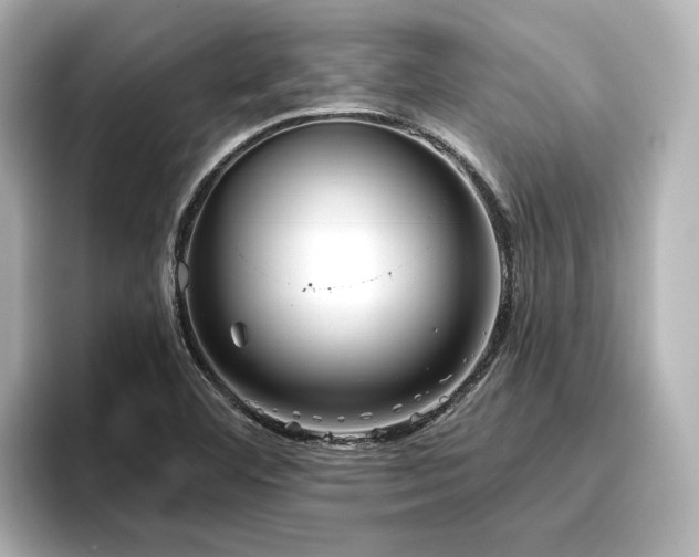 X0000096721460200802051432