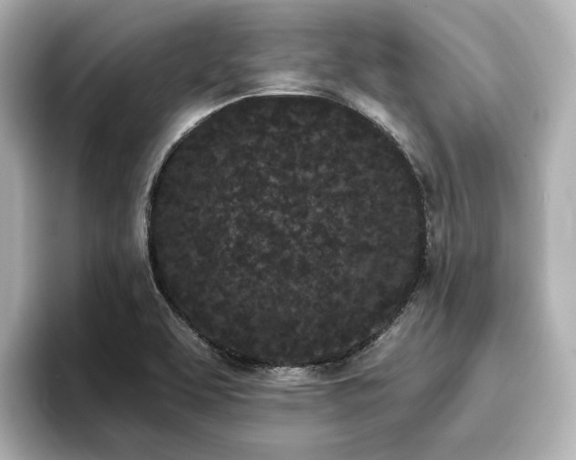 X0000096721463200802051432