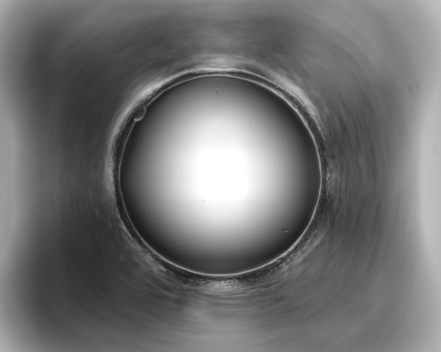 X0000096721464200802051432