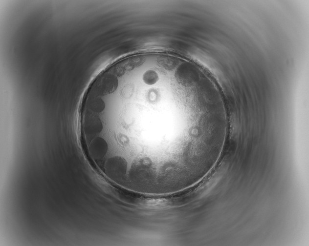 X0000096721467200802051432