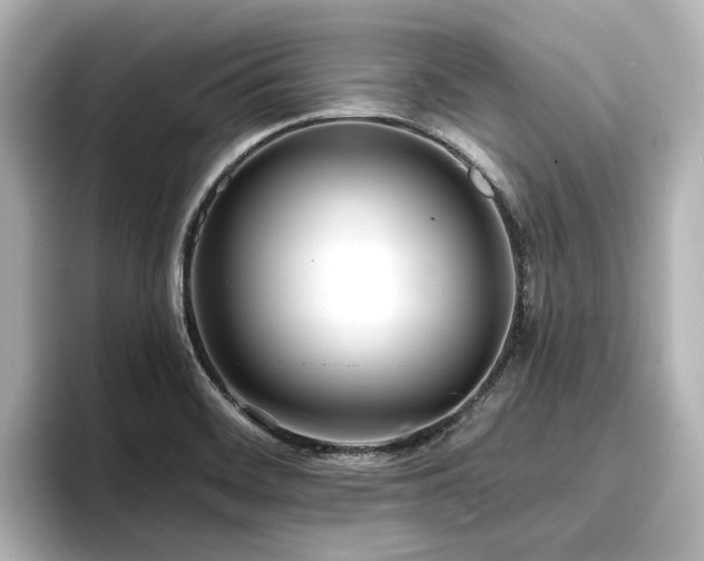 X0000096721468200802051432