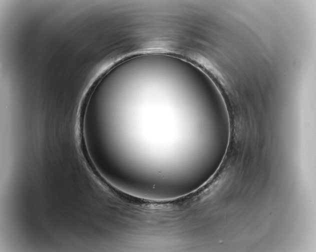 X0000096721469200802051432