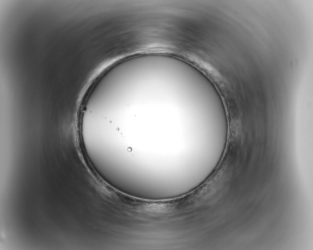X0000096721470200802051432