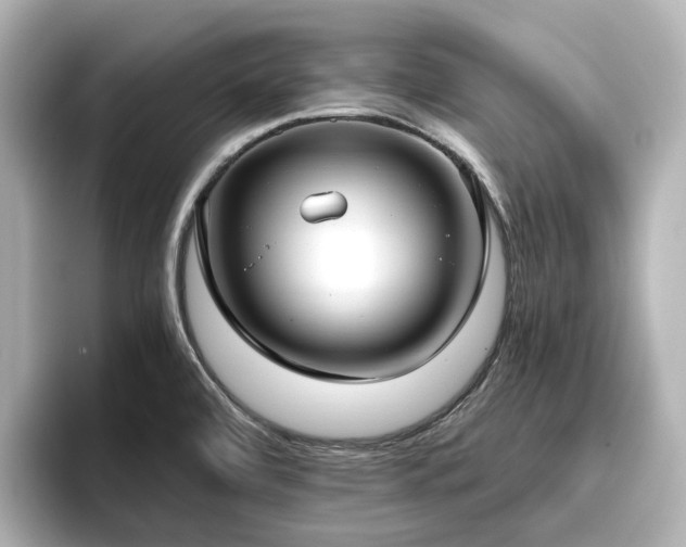X0000096721472200802051432