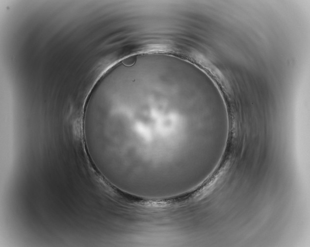 X0000096721473200802051432