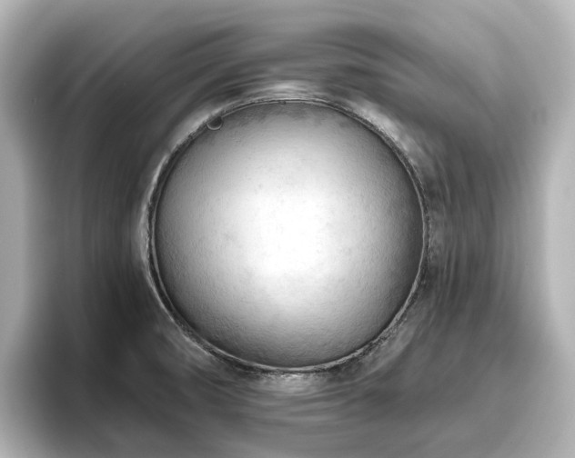 X0000096721474200802051432