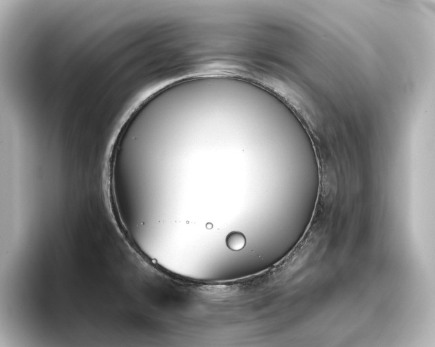 X0000096721478200802051432