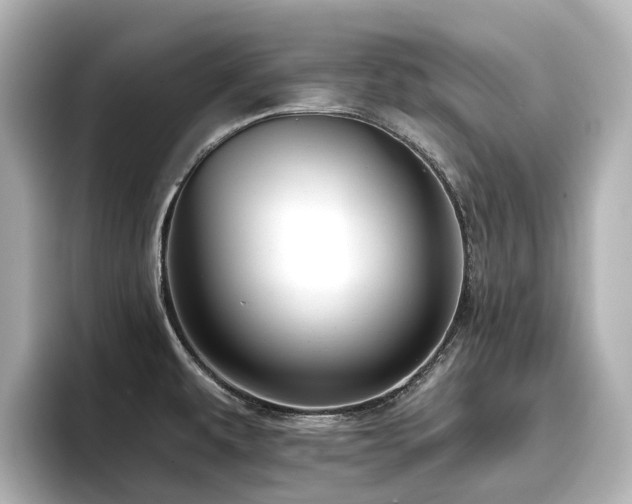 X0000096721479200802051432