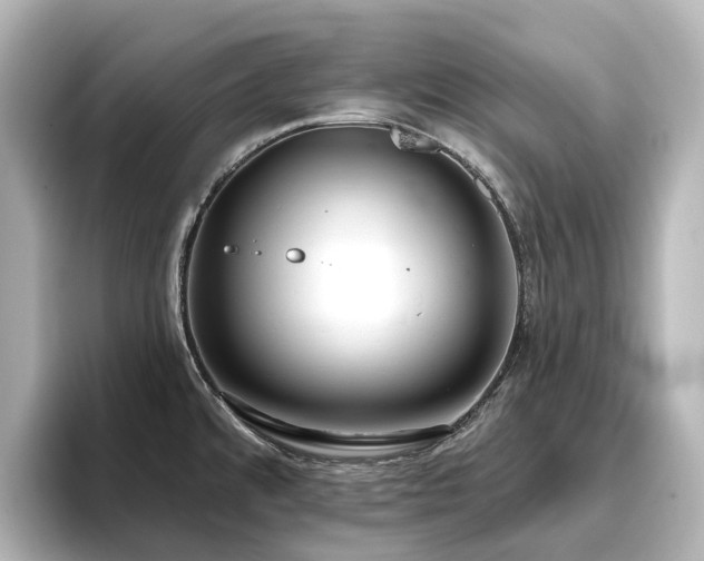 X0000096721480200802051432