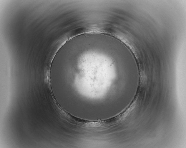 X0000096721481200802051432