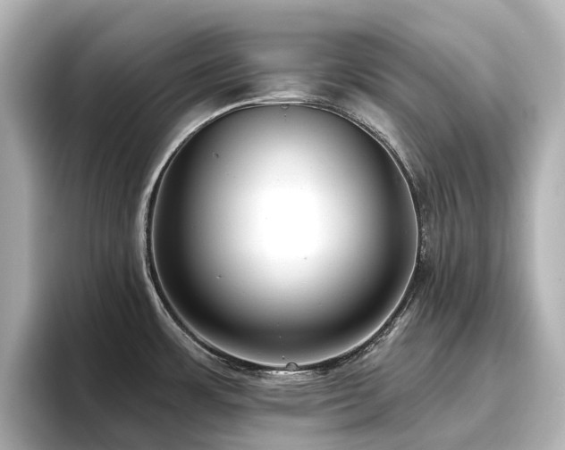 X0000096721483200802051432