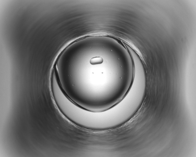 X0000096721484200802051432