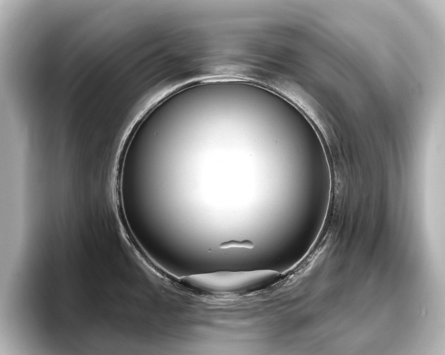 X0000096721485200802051432
