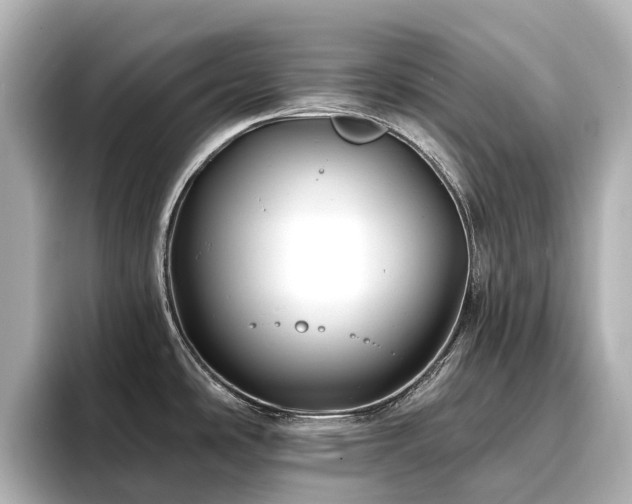 X0000096721486200802051432