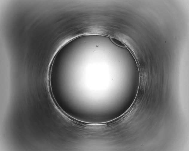 X0000096721487200802051432