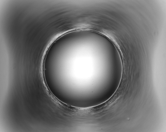 X0000096721488200802051432