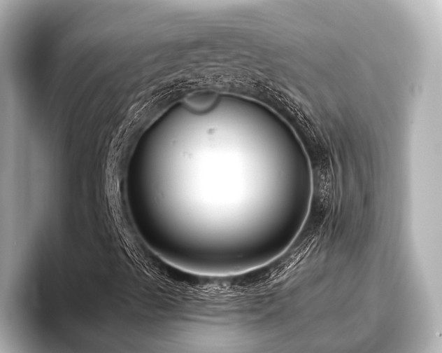 X0000096721489200802051431
