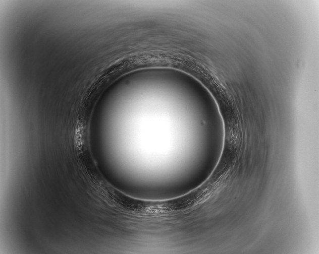 X0000096721490200802051431