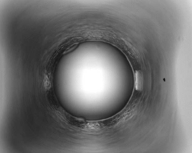 X0000096721491200802051431