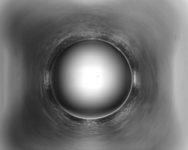 X0000096721492200802051431