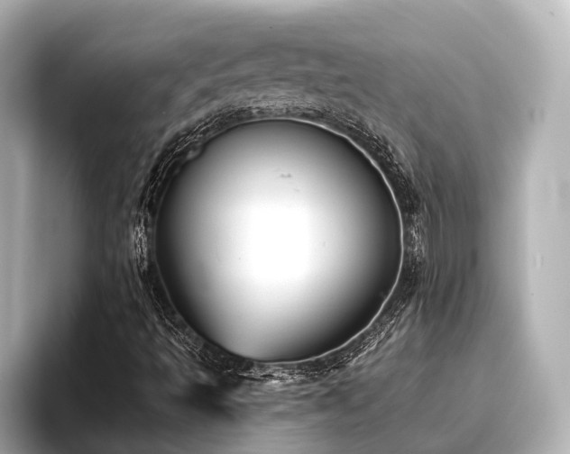 X0000096721493200802051431