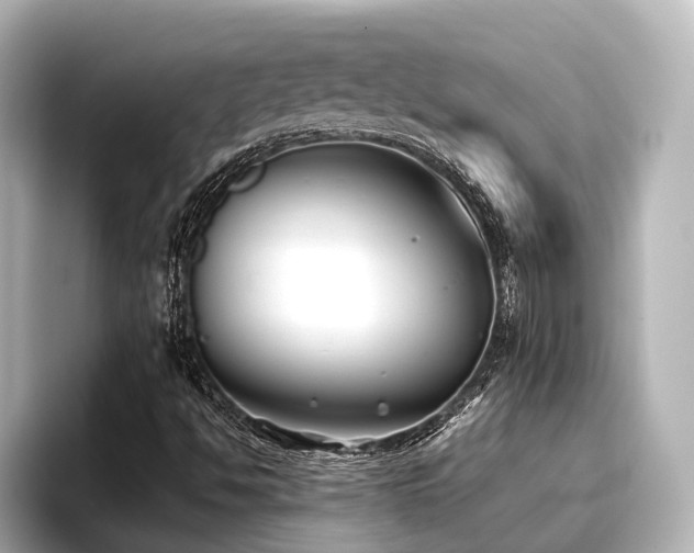X0000096721494200802051431