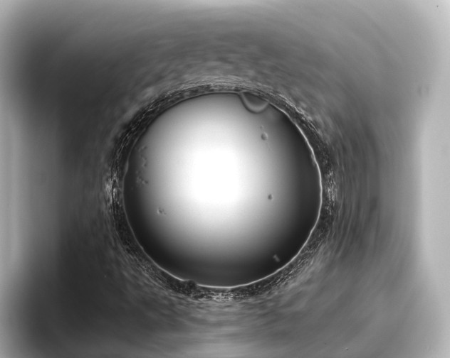 X0000096721495200802051432