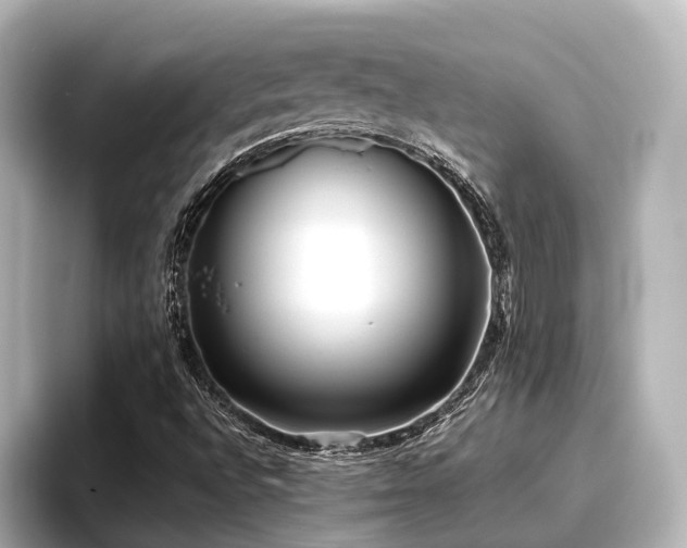 X0000096721496200802051432