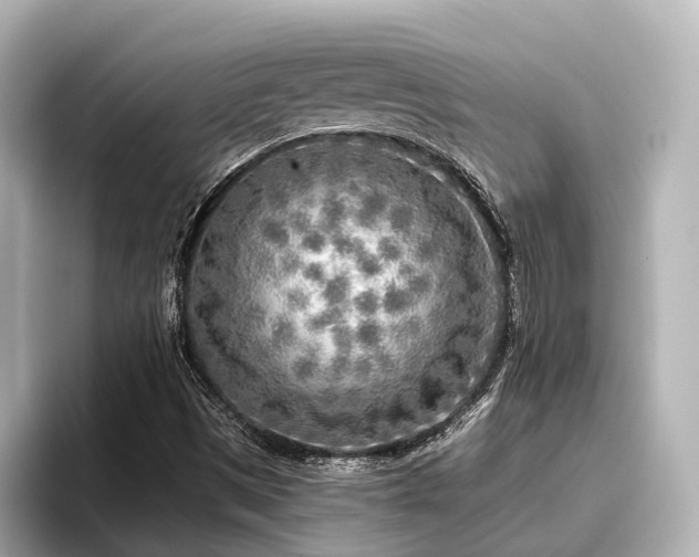 X0000096721497200802051432
