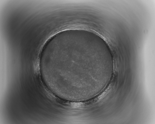 X0000096721498200802051432