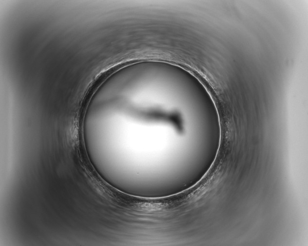 X0000096721499200802051432