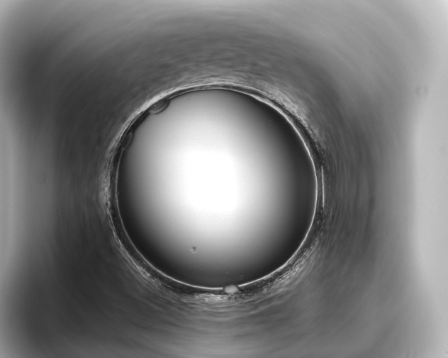 X0000096721500200802051432