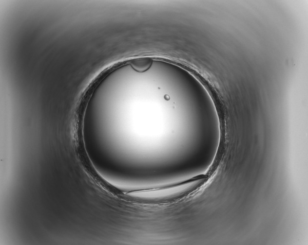 X0000096721502200802051432