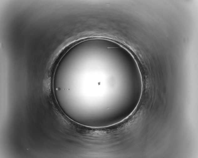 X0000096721503200802051432