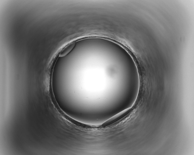 X0000096721504200802051432