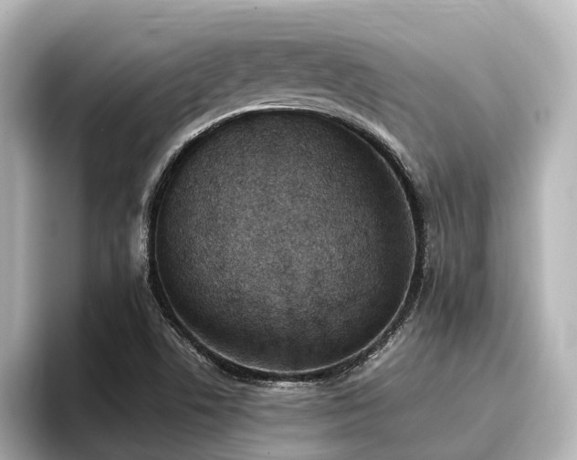 X0000096721506200802051432