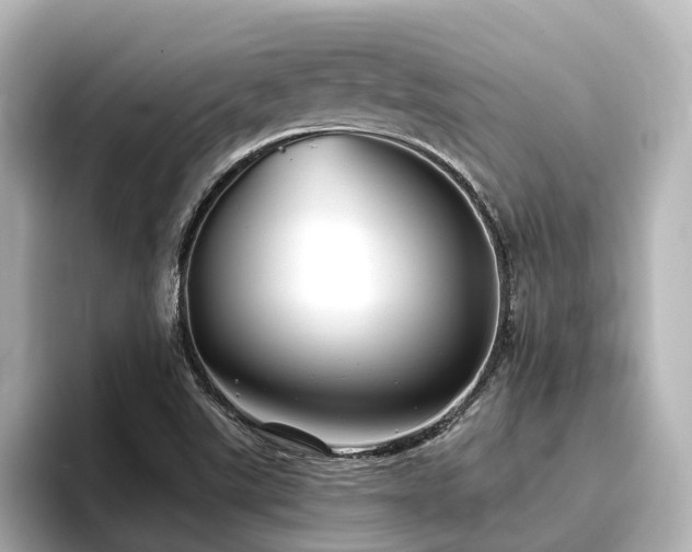 X0000096721507200802051432