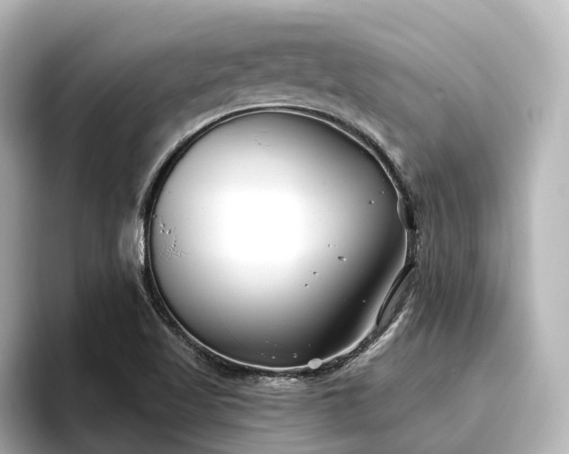 X0000096721509200802051432
