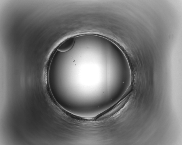 X0000096721510200802051432