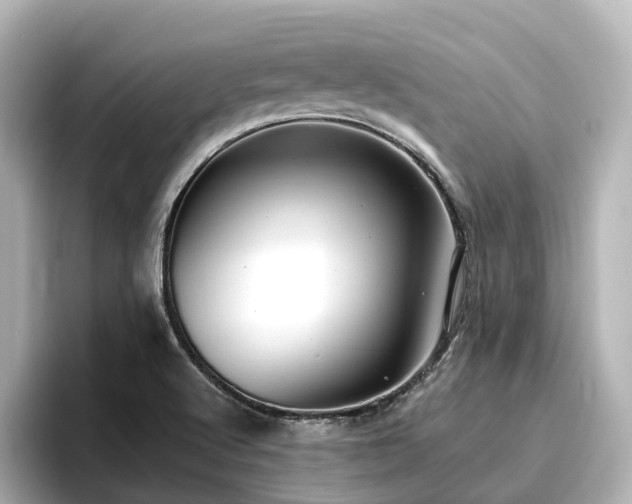 X0000096721512200802051432