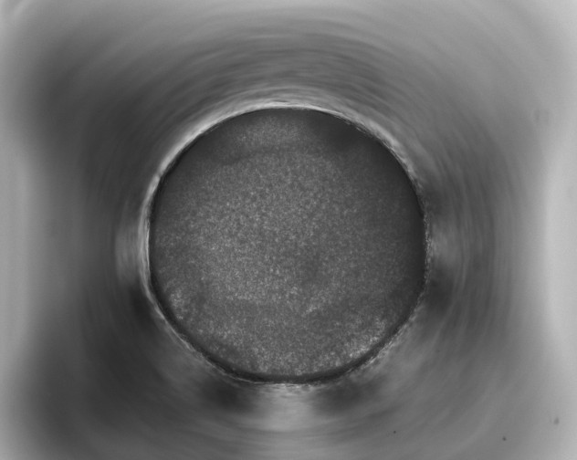 X0000096721514200802051432