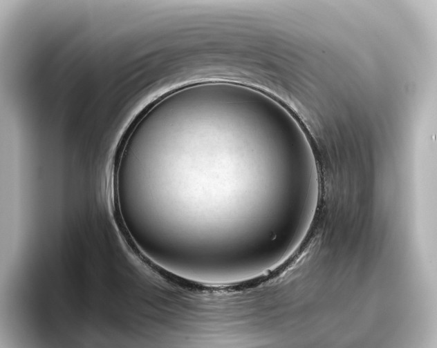 X0000096721515200802051432