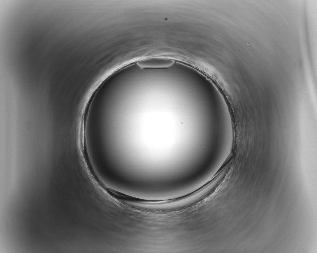 X0000096721520200802051432