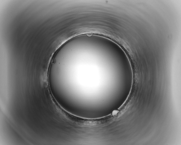 X0000096721521200802051432