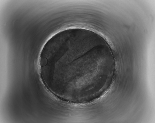 X0000096721522200802051432