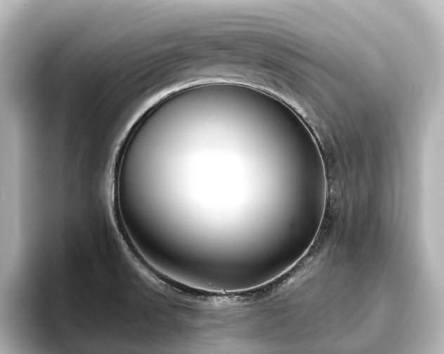 X0000096721523200802051432