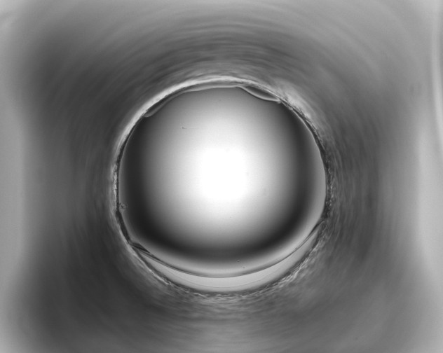 X0000096721524200802051432